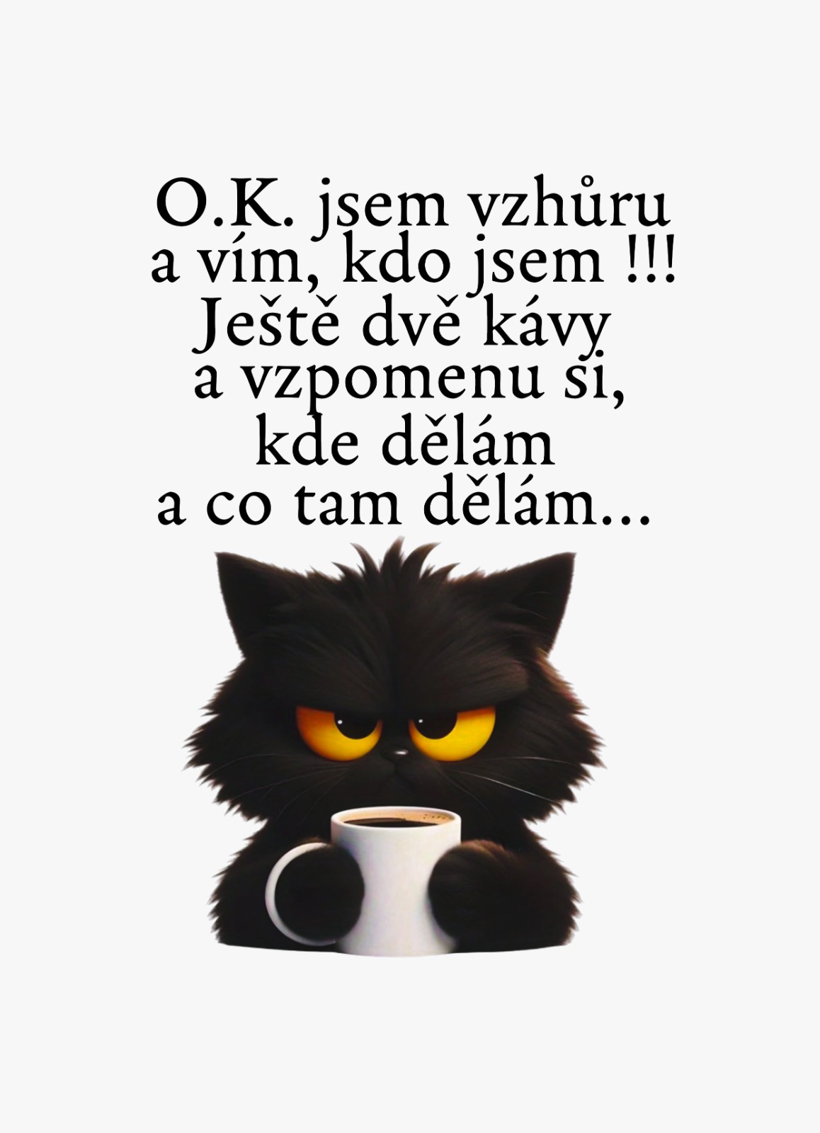 Dámské Tričko – „Kávový restart“